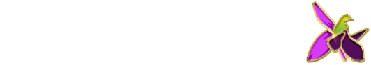 Report News Agency